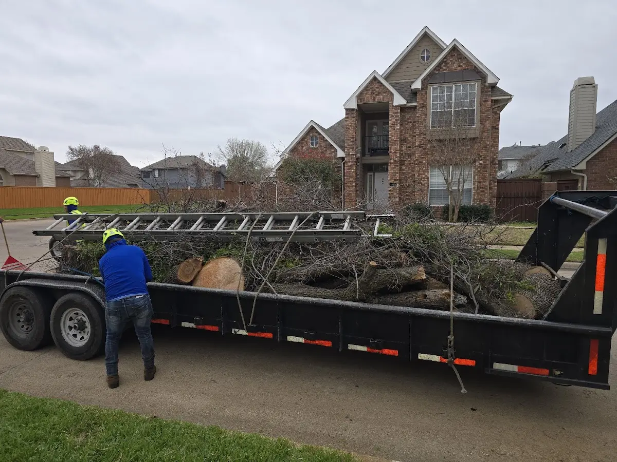 Expert Tree Fertilization with proper safety equipment in Velarde